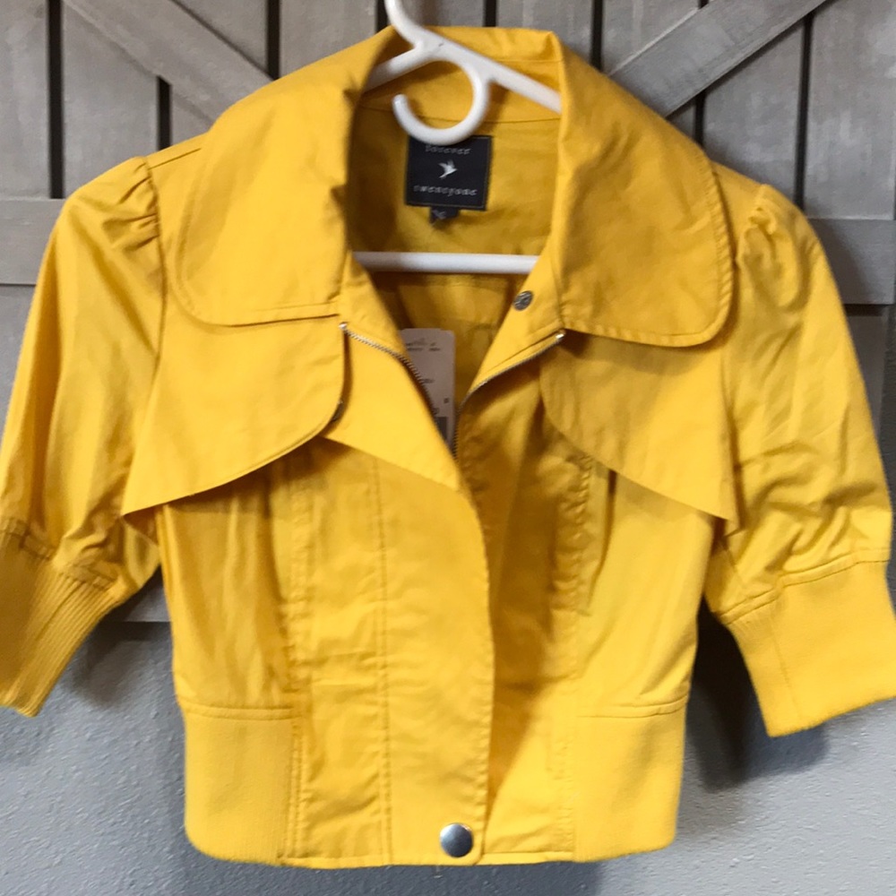 Yellow Jacket